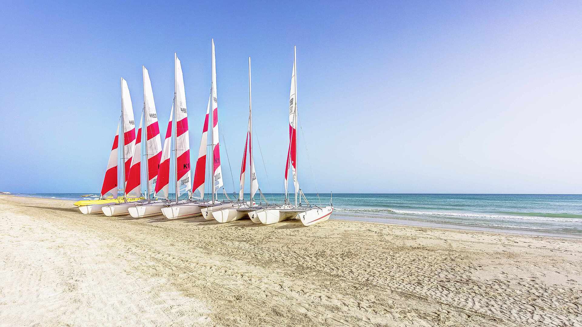 TUI Magic Life Penelope Beach Bild 46